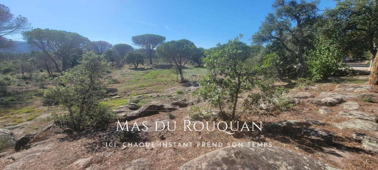 Le Mas Du Rouquan Vidauban Exterior foto