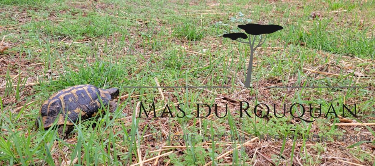 Le Mas Du Rouquan Vidauban Exterior foto